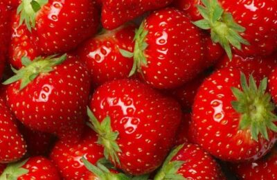 Erdbeeren – Die rote Verführung! Kilokalorien, Inhaltsstoffe und Wirkung