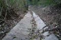 Wie verlege ich eine Drainage? Den Garten vor Überflutung schützen!
