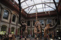 Warum sind die Dinosaurier ausgestorben? Verschiedene Theorien