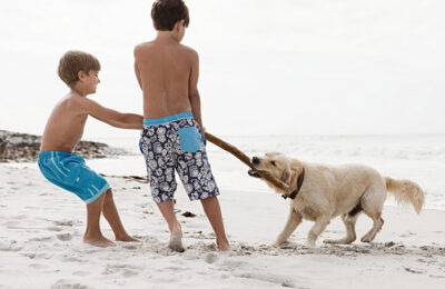 Kann ich mein Haustier (Hund, Katze) mit in den Urlaub nehmen?