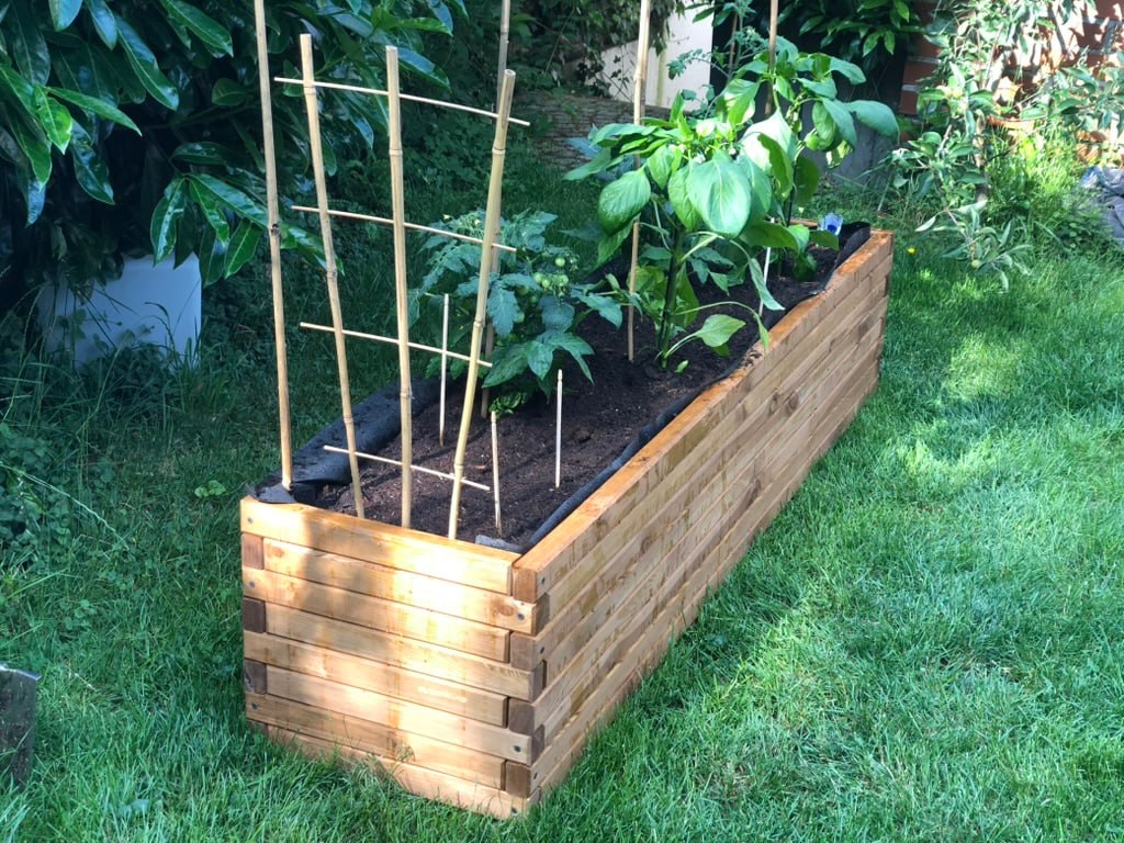 Selbst gebautes Hochbeet aus Holz mit Bambusrankhilfen für Tomaten und Paprika im Garten