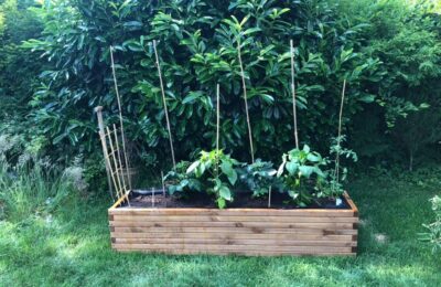 Gemüsegarten anlegen für Anfänger