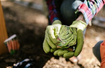 Gemüse im März anpflanzen: Was jetzt in die Erde kommt