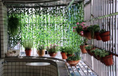 Balkon-Garten starten: Erste Schritte im Frühling