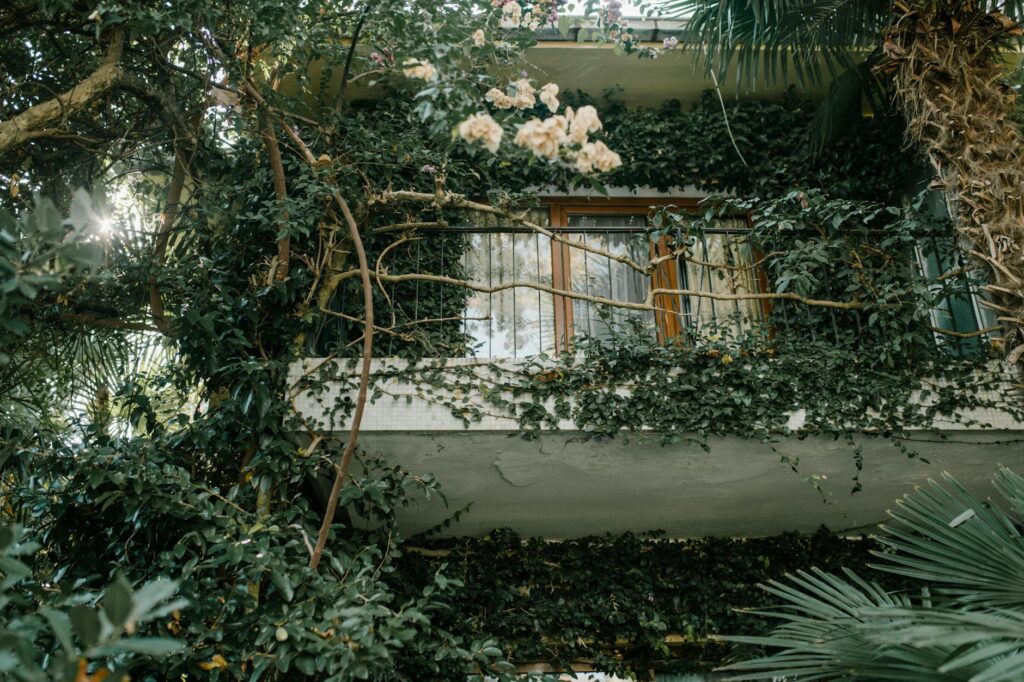 Balkon bepflanzen: Tipps für üppige Blütenpracht