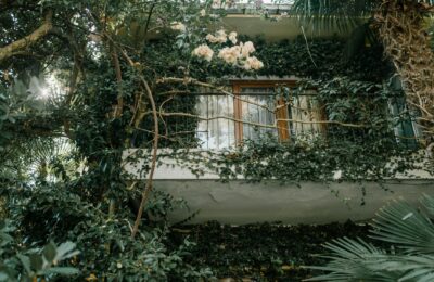 Balkon bepflanzen: Tipps für üppige Blütenpracht