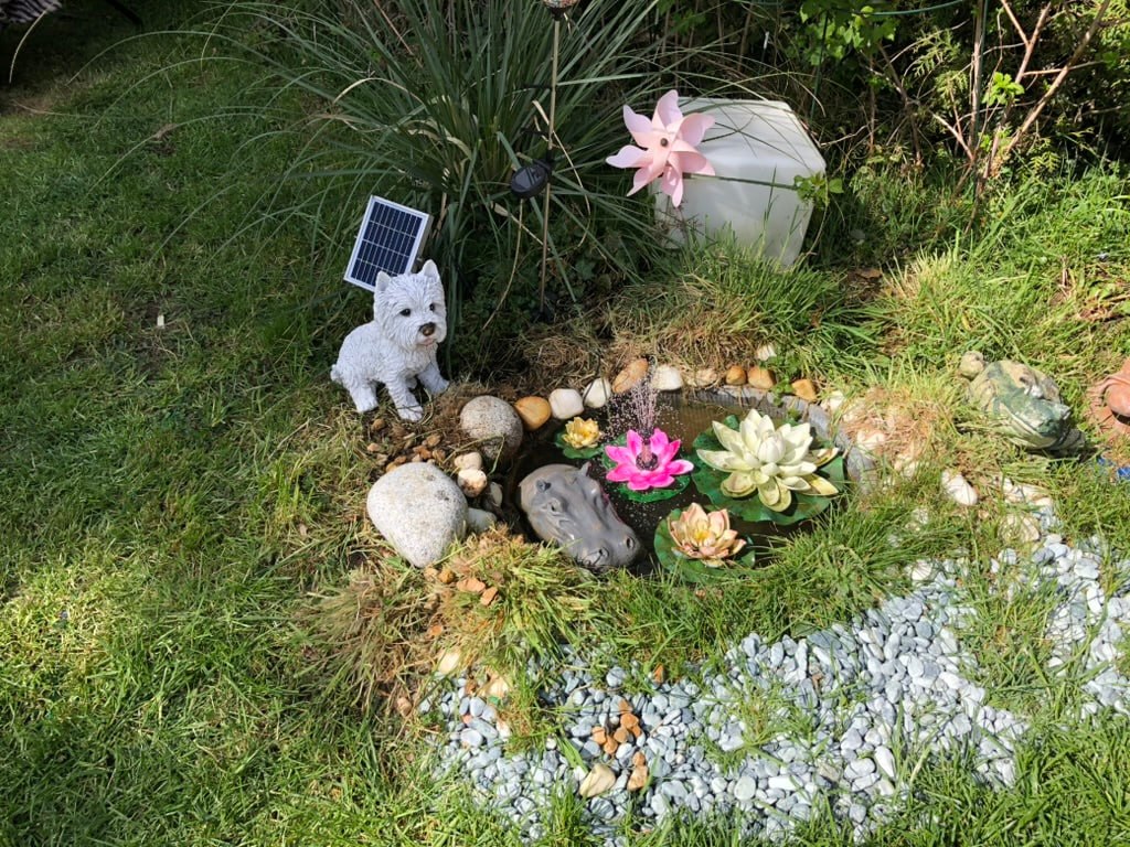 Selbst gebauter Mini-Gartenteich mit Westie-Figur, Seerosen und Solarbeleuchtung – Gartengestaltung