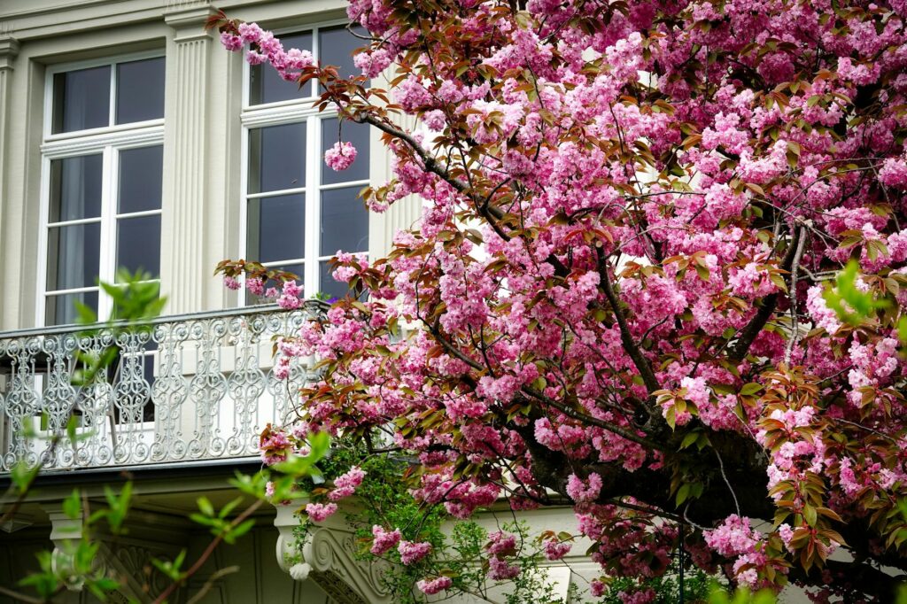 Balkon bepflanzen im Frühling: Der komplette Ratgeber für April 2026