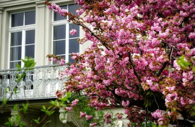 Balkon bepflanzen im Frühling: Der komplette Ratgeber für April 2026