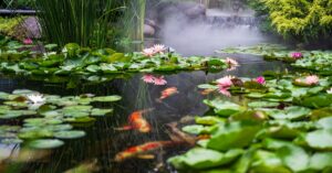 Gartenteich im Frühling: So starten Sie perfekt in die Saison 2026