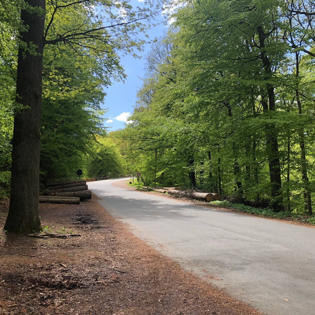 Immobilien im Harz