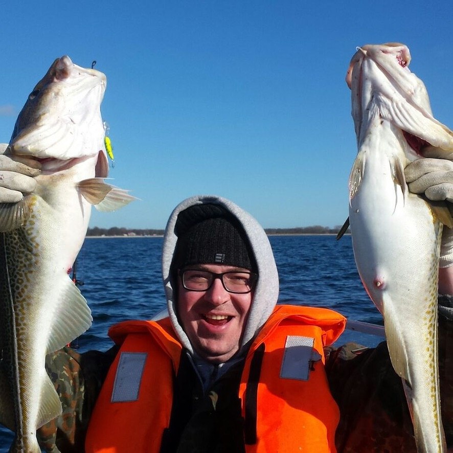 Warum ist Fisch gesund? Welche Vorteile bringt der Konsum von Fisch?
