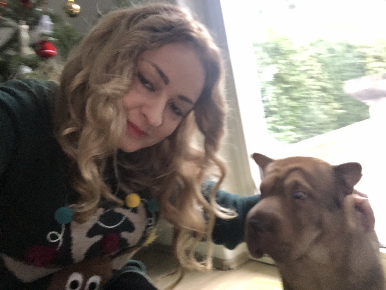Julia Nechepurenko mit Shar-Pei Bassja unter dem Weihnachtsbaum – Bassja war Teil der Familie